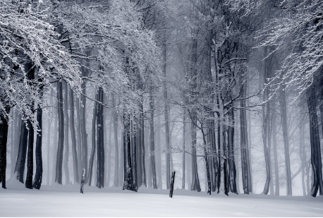 GA黄金甲-C罗2026世界杯后告别葡萄牙队：一个时代的星光落幕